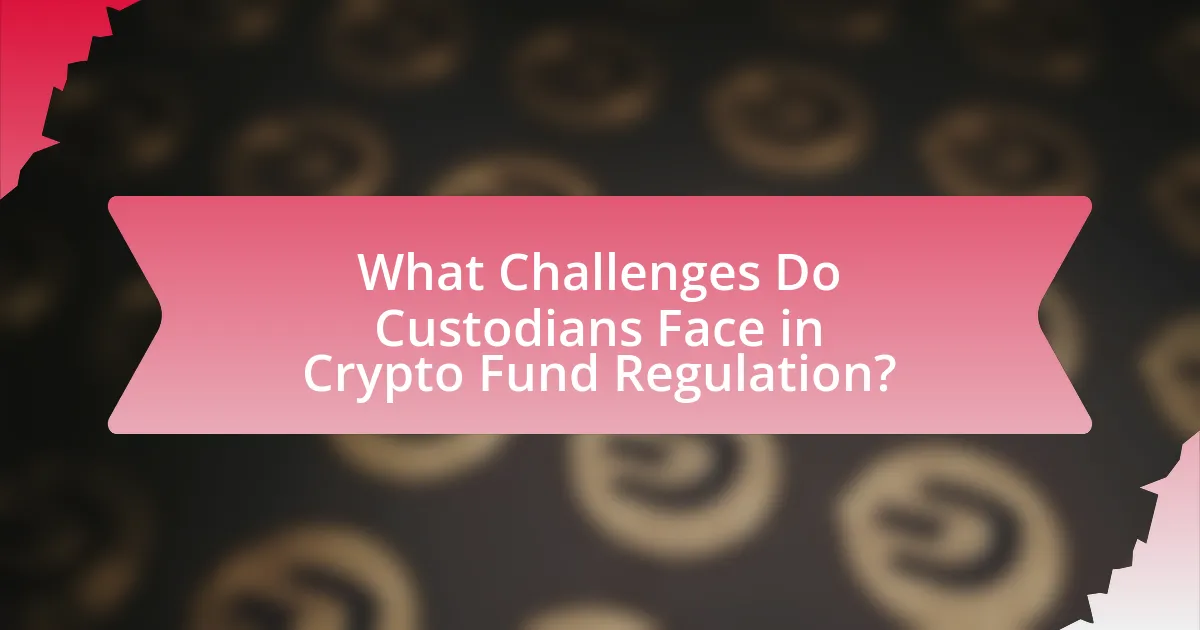 What Challenges Do Custodians Face in Crypto Fund Regulation?