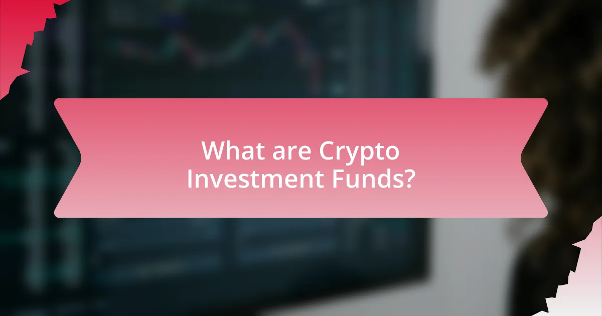 What are Crypto Investment Funds?