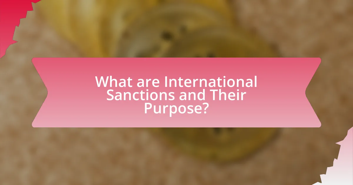 What are International Sanctions and Their Purpose?