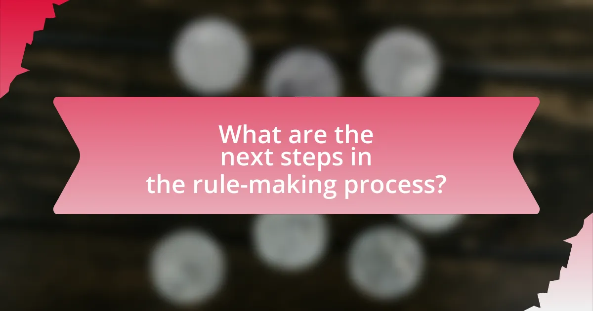 What are the next steps in the rule-making process?