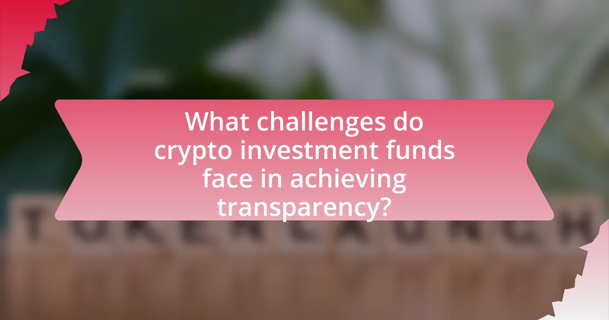 What challenges do crypto investment funds face in achieving transparency?